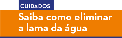 Saiba como eliminar a lama da  gua Cuidado