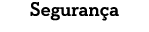 Seguran a