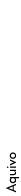 Aquivo