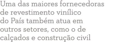 Uma das maiores fornecedoras de revestimento vinílico do País também atua em outros setores, como o de calçados e con   