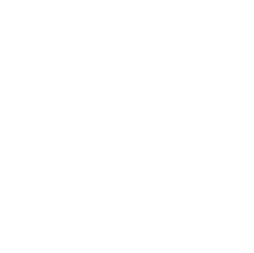 Anapp encerra o ano realizando o primeiro evento presencial desde o início da pandemia, em São Paulo