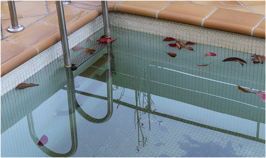 Abandoned dirty outdoor swimming pool in winter with algae and autumn leaves.