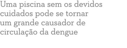 Uma piscina sem os devidos cuidados pode se tornar um grande causador de circula o da dengue