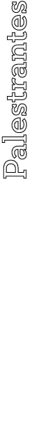  Palestrantes