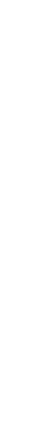  Palestrantes